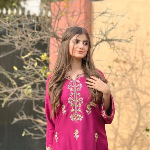 IMG-20260503-WA0079(2) Aangan Emb Long Length 2PC