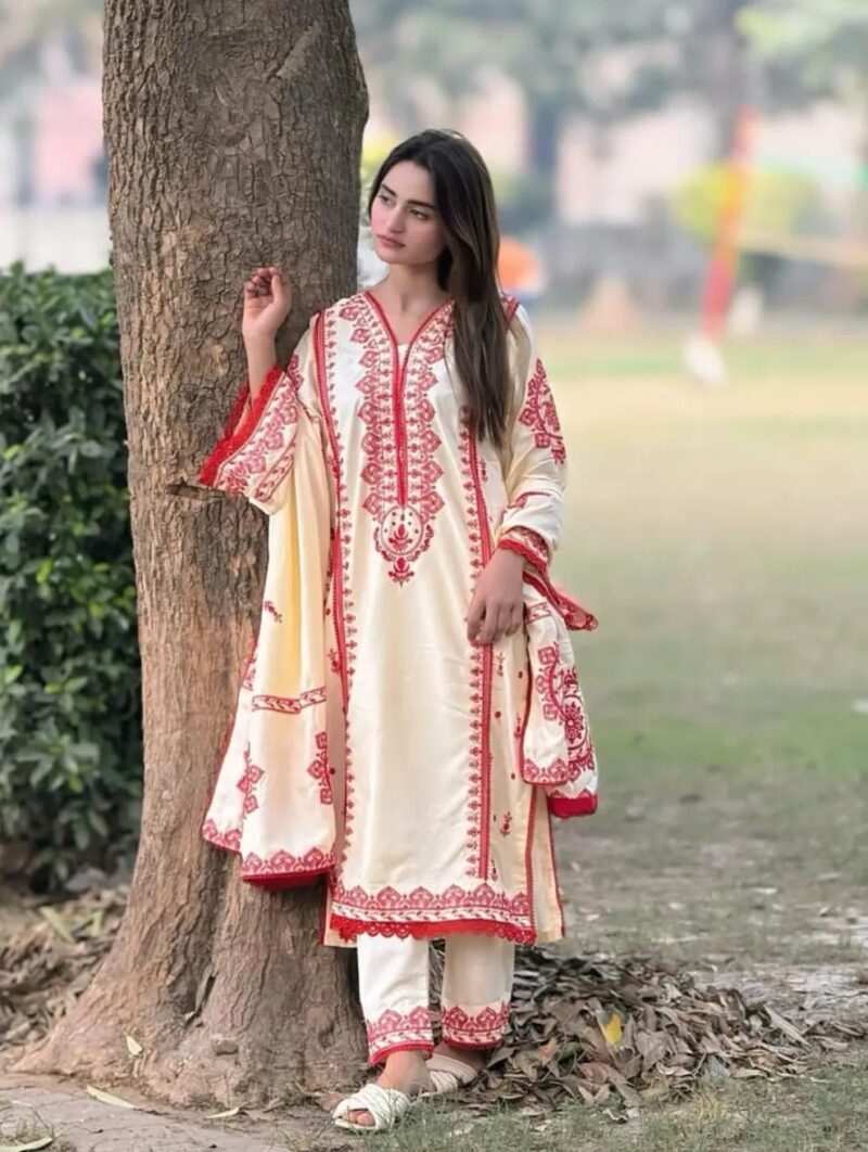 IMG-20260531-WA0258(1) Dhaga Embroidery 3PC (Shawl)