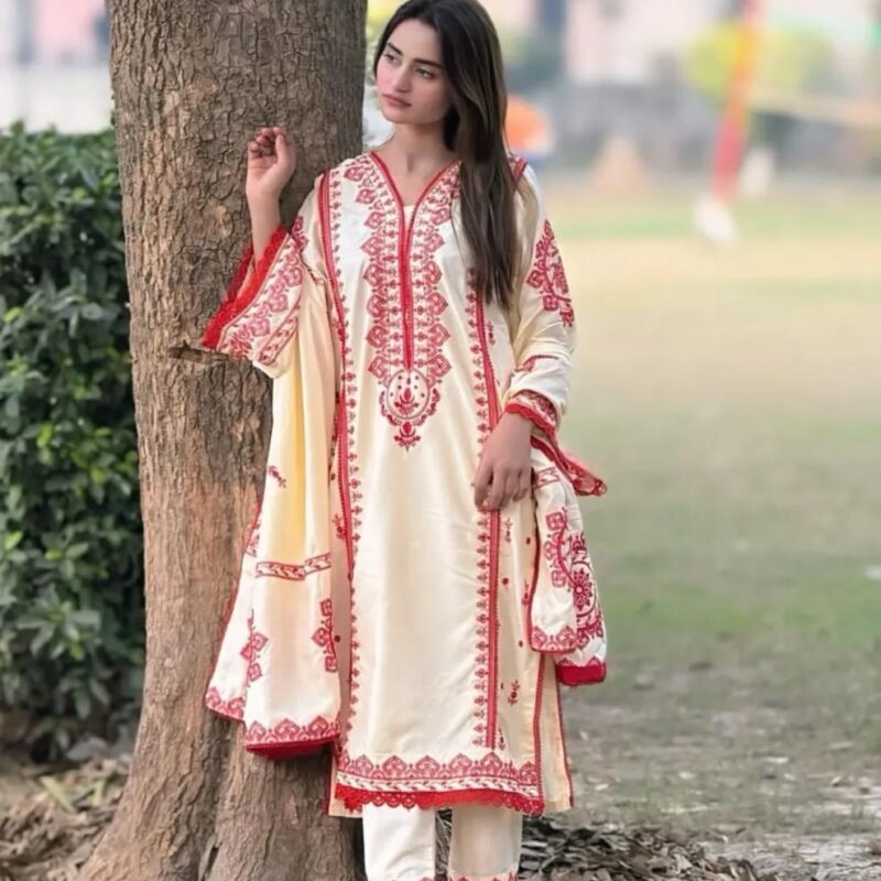 IMG-20260531-WA0258(1) Dhaga Embroidery 3PC (Shawl)
