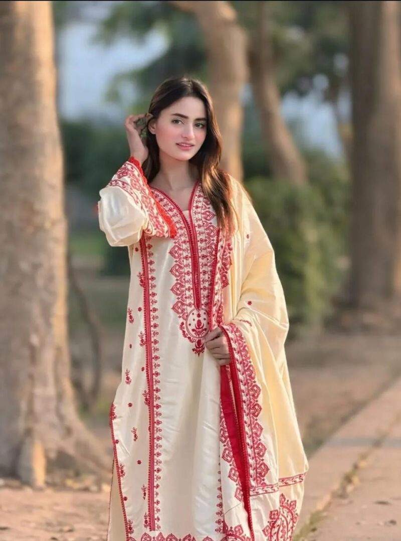 IMG-20260531-WA0261(1) Dhaga Embroidery 3PC (Shawl)