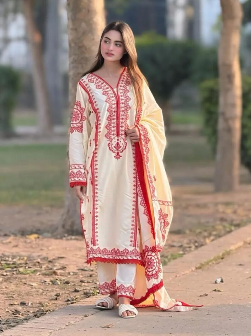 IMG-20260531-WA0263(1) Dhaga Embroidery 3PC (Shawl)