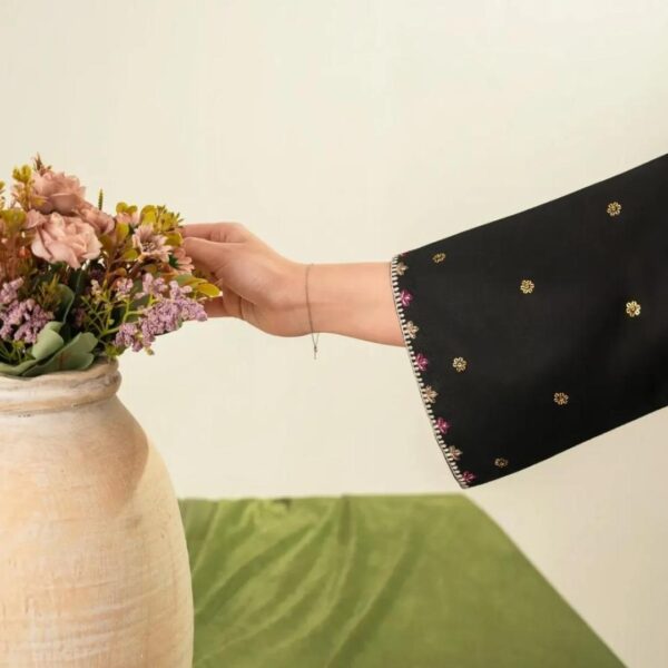 IMG-20260615-WA0539 Zarqa Embroidered 3PC ( Farshi )