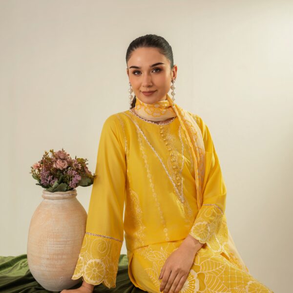 IMG-20260624-WA0013 Soraya Embroidered 3PC (FARSHI)