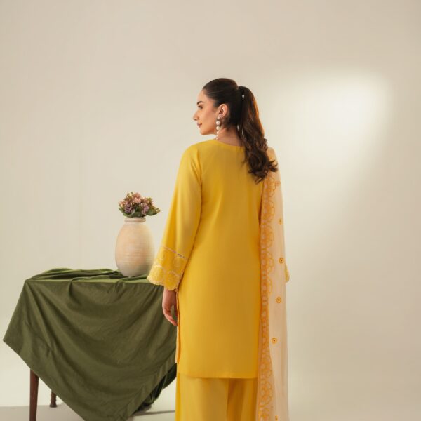 IMG-20260624-WA0014 Soraya Embroidered 3PC (FARSHI)
