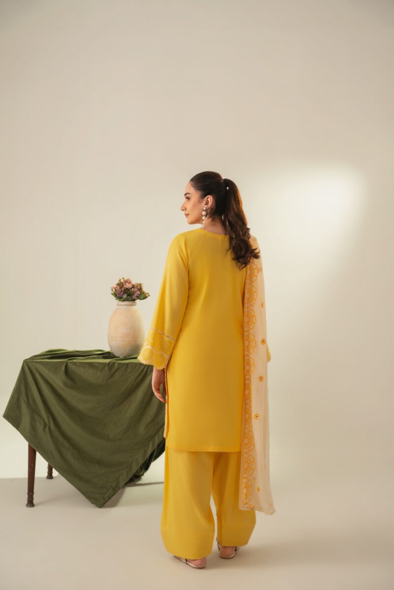 IMG-20260624-WA0014 Soraya Embroidered 3PC (FARSHI)