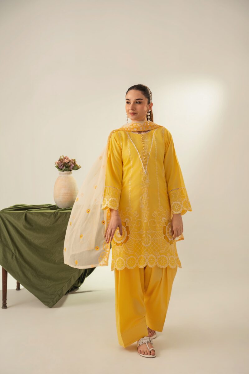 Soraya Embroidered 3PC (FARSHI)