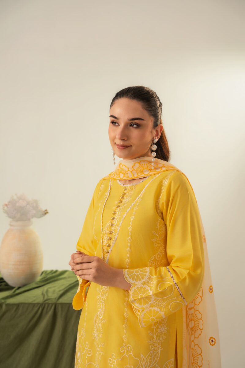 IMG-20260624-WA0019 Soraya Embroidered 3PC (FARSHI)