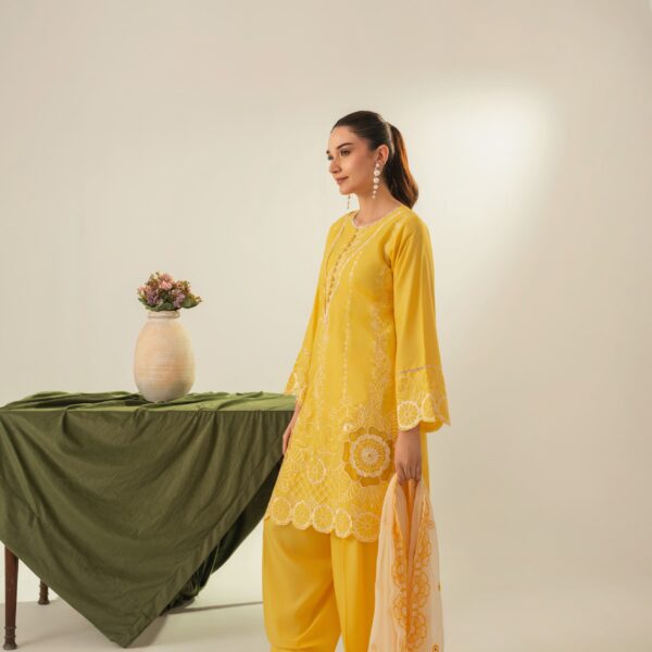 IMG-20260624-WA0020 Soraya Embroidered 3PC (FARSHI)