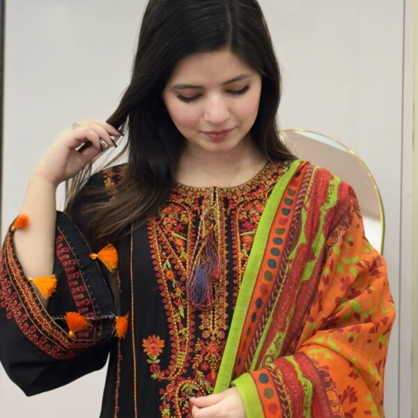 Inaya Embroidered 3PC