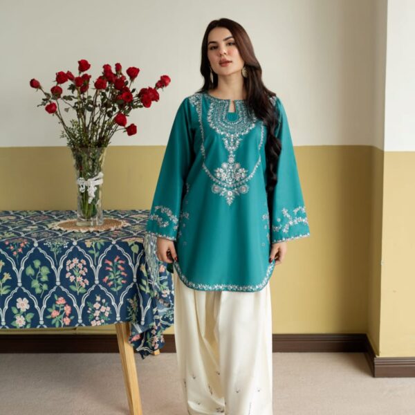IMG-20260725-WA0161 ZIRWA EMBROIDERY 2PC (FARSHI)