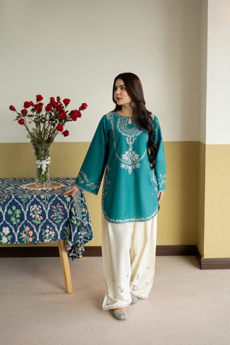 IMG-20260725-WA0162 ZIRWA EMBROIDERY 2PC (FARSHI)