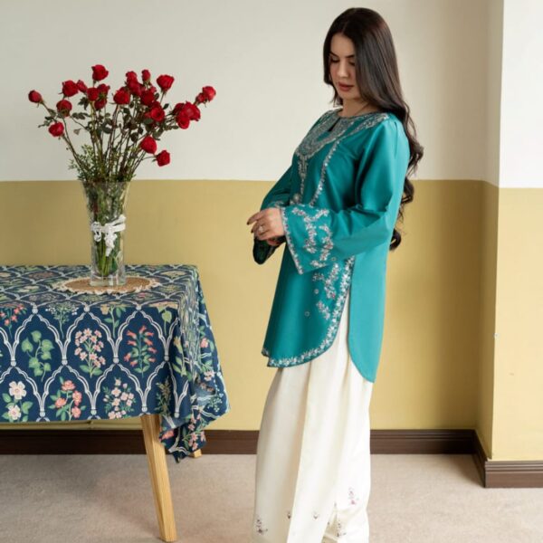 IMG-20260725-WA0165 ZIRWA EMBROIDERY 2PC (FARSHI)