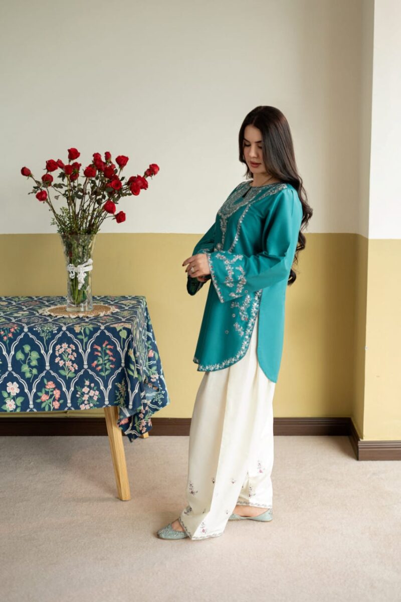 IMG-20260725-WA0165 ZIRWA EMBROIDERY 2PC (FARSHI)