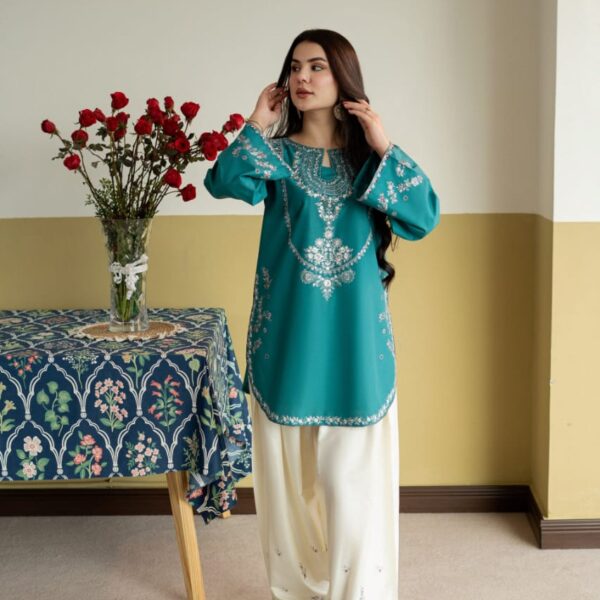IMG-20260725-WA0167 ZIRWA EMBROIDERY 2PC (FARSHI)