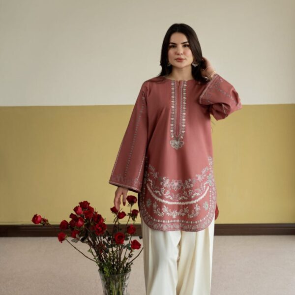 IMG-20260727-WA0528 Irha Embroidery 2PC (FARSHI)