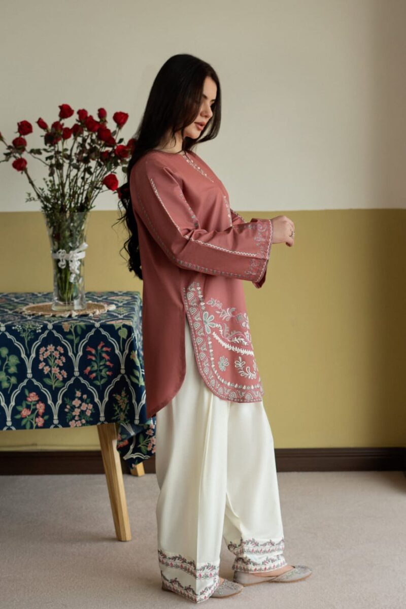 IMG-20260727-WA0529 Irha Embroidery 2PC (FARSHI)
