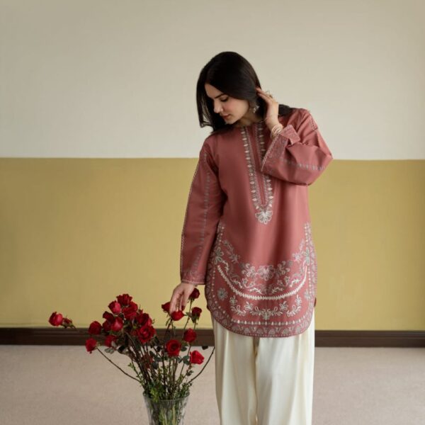 IMG-20260727-WA0530 Irha Embroidery 2PC (FARSHI)