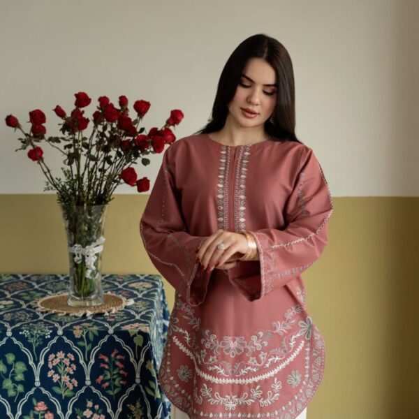 IMG-20260727-WA0532 Irha Embroidery 2PC (FARSHI)