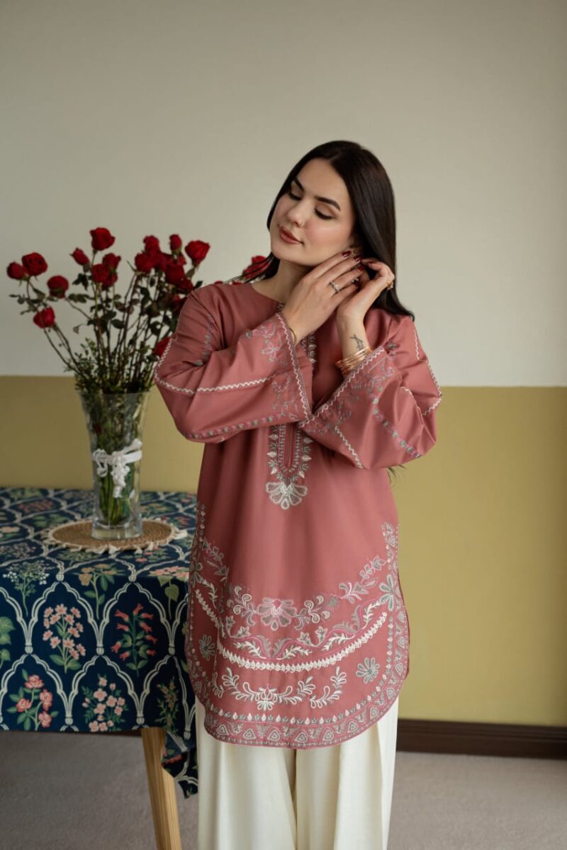 IMG-20260727-WA0534 Irha Embroidery 2PC (FARSHI)