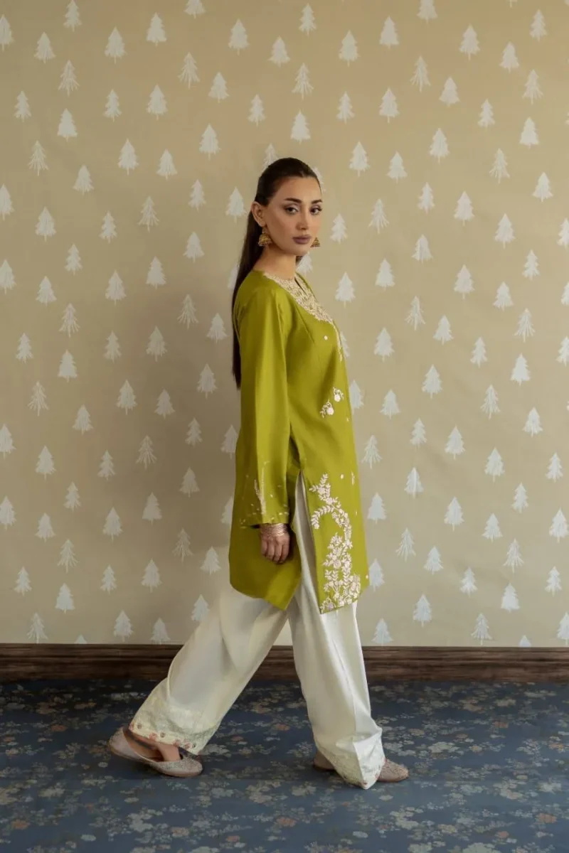 IMG-20260728-WA0490 MAHIRA EMBROIDERY 2PC (FARSHI)