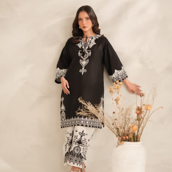 IMG-20260729-WA0586 Aiza Embroidery 2PC (PLAZO)