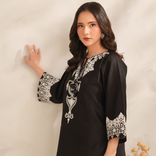 IMG-20260729-WA0587 Aiza Embroidery 2PC (PLAZO)