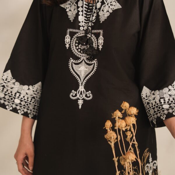 IMG-20260729-WA0589 Aiza Embroidery 2PC (PLAZO)
