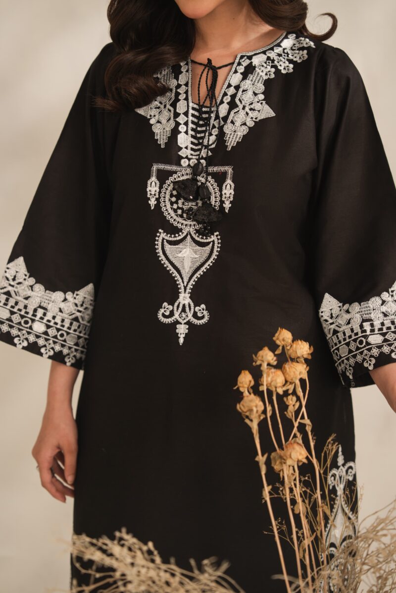 IMG-20260729-WA0589 Aiza Embroidery 2PC (PLAZO)