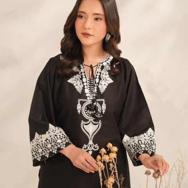 IMG-20260729-WA0590 Aiza Embroidery 2PC (PLAZO)