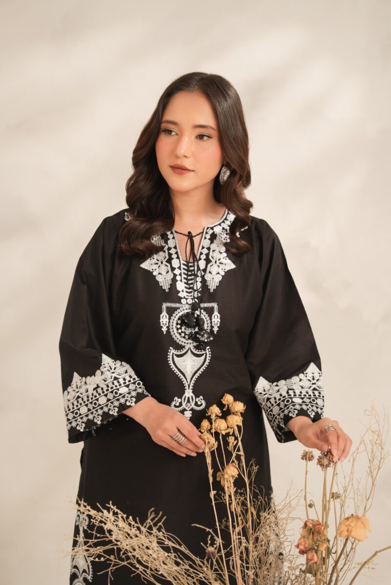 IMG-20260729-WA0590 Aiza Embroidery 2PC (PLAZO)