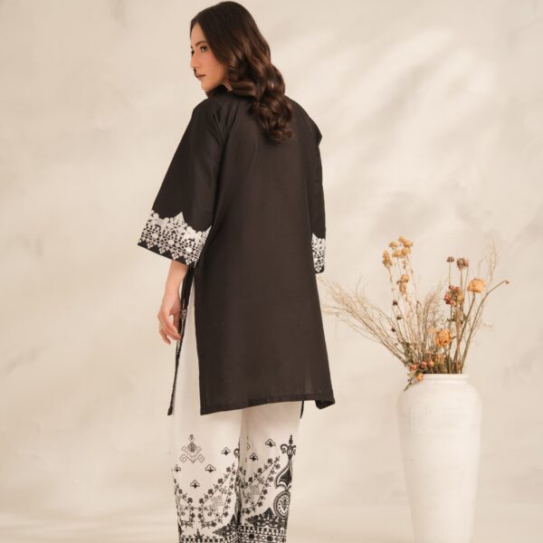 IMG-20260729-WA0592 Aiza Embroidery 2PC (PLAZO)
