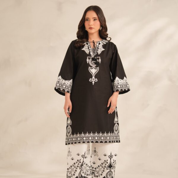 IMG-20260729-WA0593 Aiza Embroidery 2PC (PLAZO)